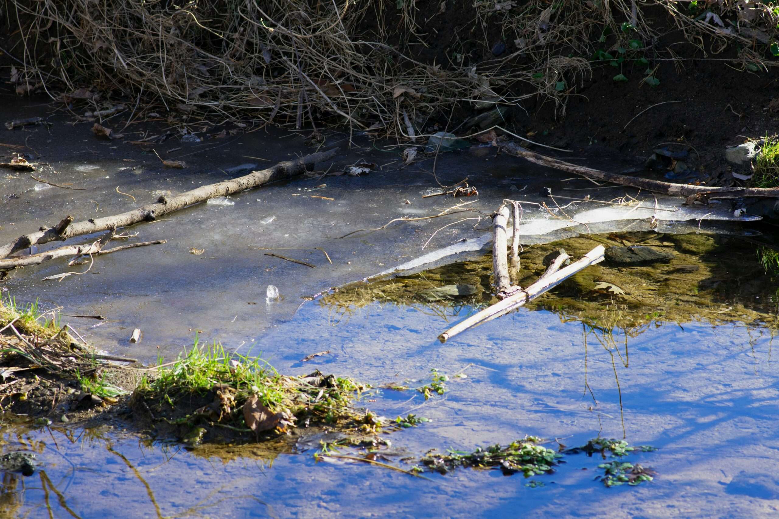 Pollution Prevention Pathways